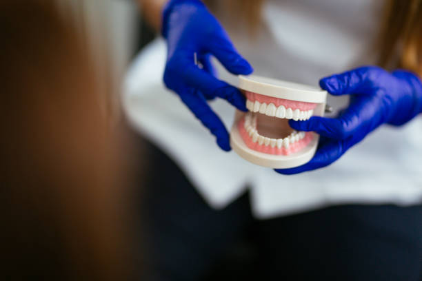 Professional Holistic Dental Care Services in Morris, MN